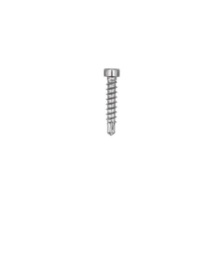 Schraube BioMaderas Clips Edelstahl 22mm