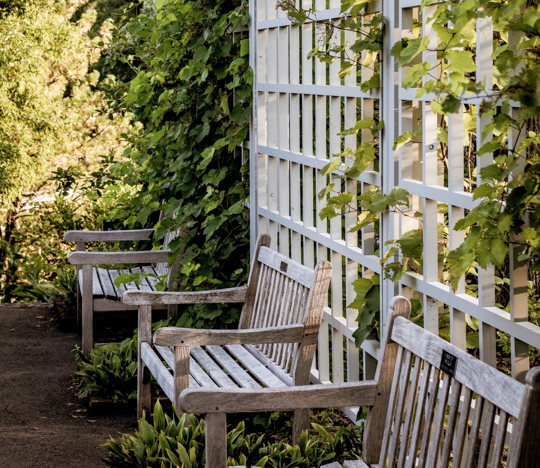 ¿cuáles Son Las Características De Los Muebles De Jardín De Madera